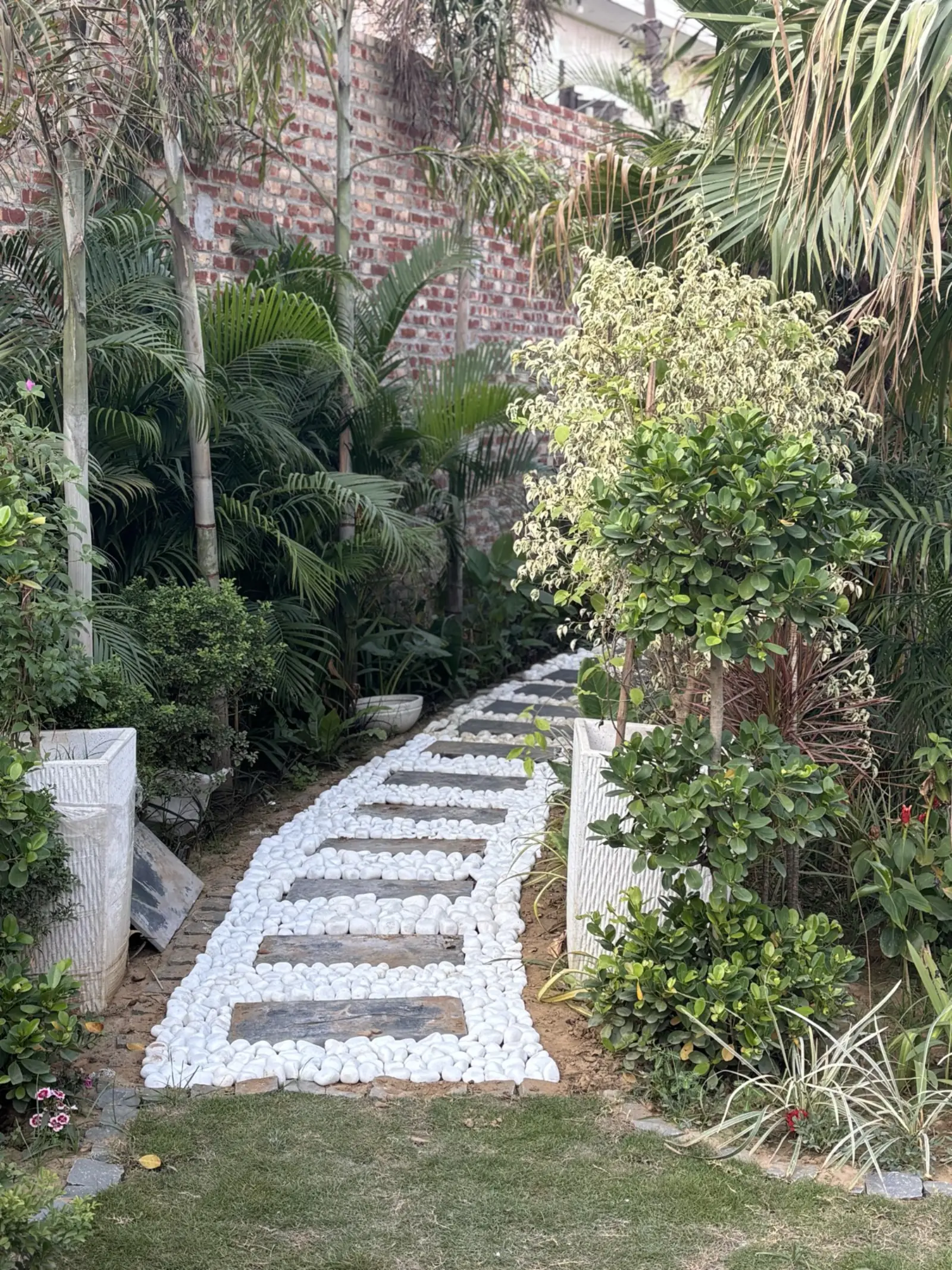 White pebble path through tropical garden